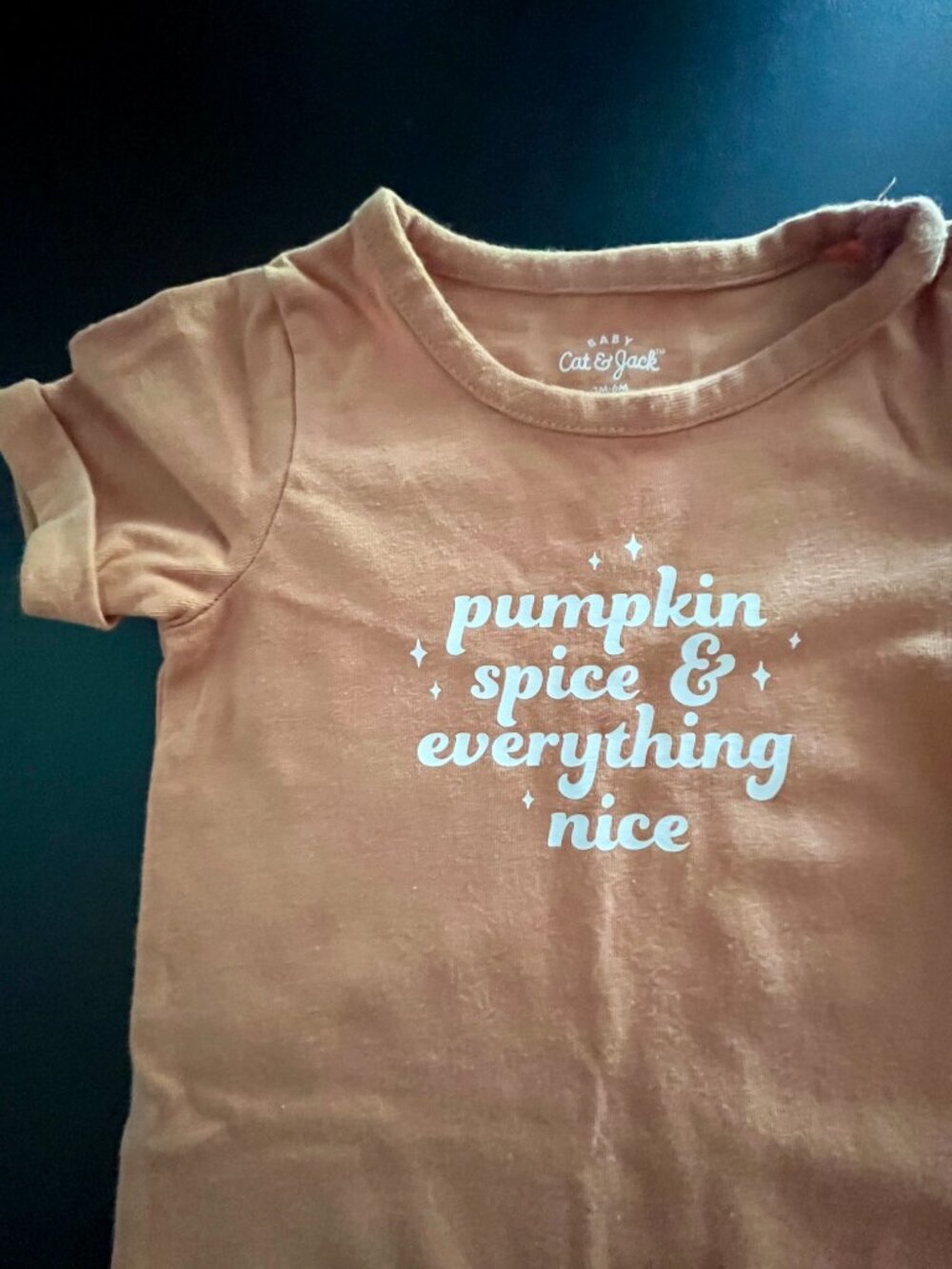 Baby Girl Pumpkin Onesies, Fall LOT, Set of 4, 3-6 Months - Picture 9 of 10